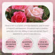 10ml Natural Rose Essential Oil